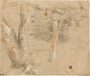 Croquis d