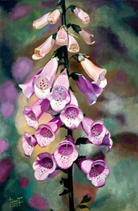 Doigts violets, 2010 - Cruz Jurado Traverso