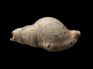 Coquille sculptée - Culture Taino