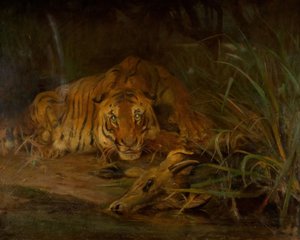 Tigre et proie, 1931