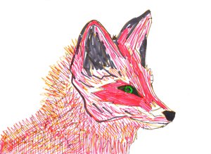 Renard (feutre sur papier)