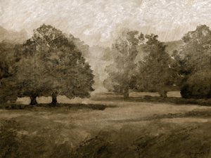 Parc du château - Dan Hobday