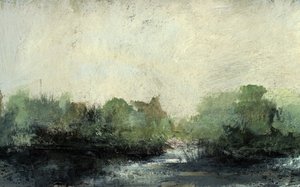 Ruisseau de la forêt