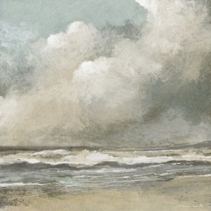 Misty Beach - Dan Hobday