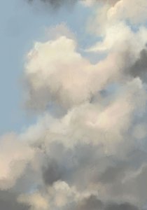 Skys