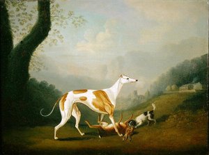 Lévrier avec un chiot épagneul et un lièvre mort