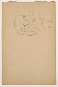Dessin, Dash (un Setter), vers 1862