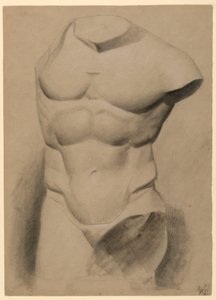 Dessin, torse masculin d