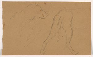 Dessin, Milo (un chien d