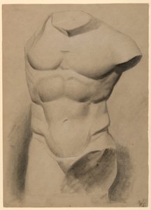 Torso masculin d