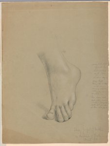 Étude pour le pied de Matthieu dans "Christiana et ses enfants"
