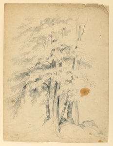 Étude de bouleaux noirs - Daniel Huntington