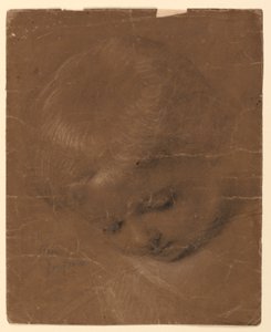 Étude de la tête d