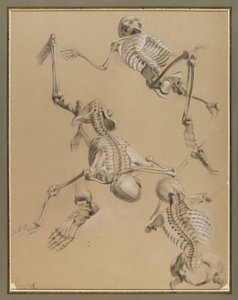 Étude de squelettes, 1848