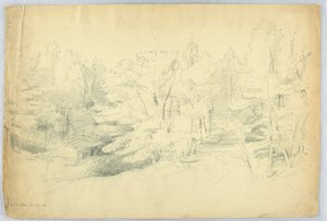 Scène boisée - West Campton, New Hampshire