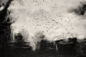  - Daniela Riegler