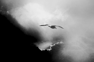  - Daniela Riegler