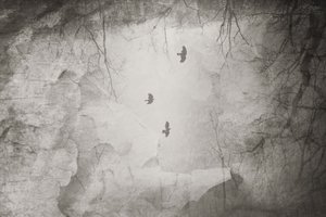  - Daniela Riegler