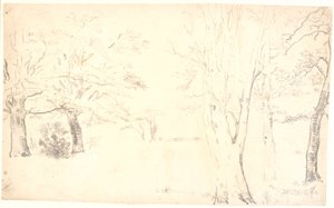 Paysage avec arbres dispersés