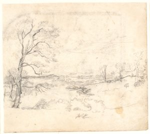 Vue sur un paysage vallonné et boisé