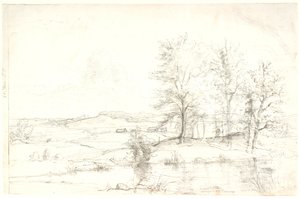 Vue sur un paysage forestier vallonné. Au premier plan, un lac - Dankvart Dreyer