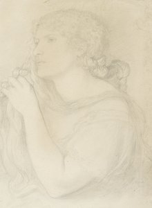 Étude de Fanny Cornforth, 1863