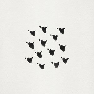Résumé : Vol en formation - Danushka Abeygoda