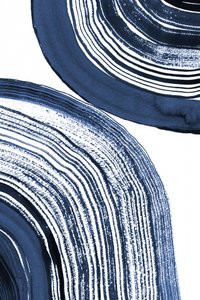 Vagues concentriques bleues