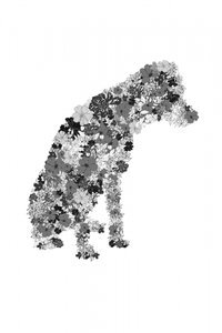 Silhouette de chien fleurie - Danushka Abeygoda
