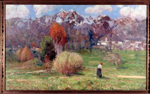 Paysage de montagnes
