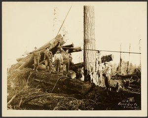 [Loggers]