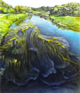 Ce qui se cache dessous - Darrell Windjack