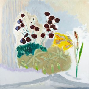 Gousses et cosmos, 2010