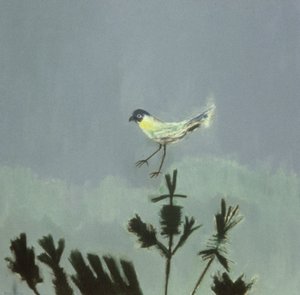 Oiseau étrange atterrissant - David Alan Redpath Michie