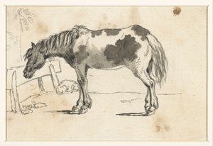 Cheval debout et un chien couché