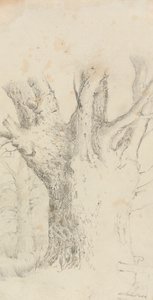 Arbre - David Charles Read