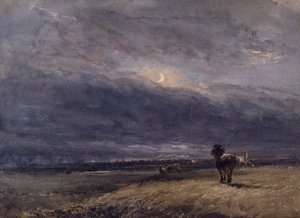Le Train de nuit