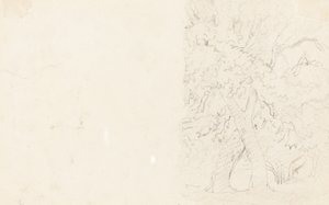 Arbres (verso)