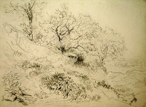 Paysage gallois