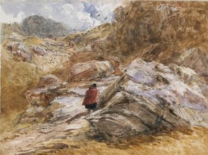 Col de montagne à Bettws-y-Coed, 1851 - David Cox the elder