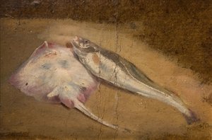 Étude de poissons - Raie et morue