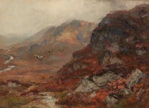 Collines des Highlands