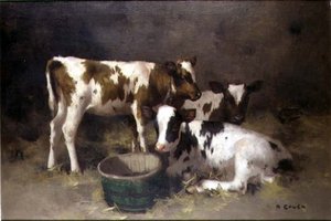 Trois veaux - David Gauld