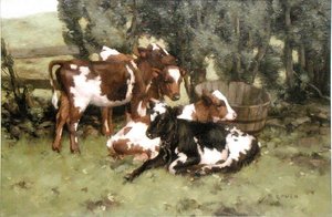 Trois veaux, vers 1920