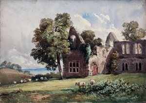 Abbaye en ruine et moutons