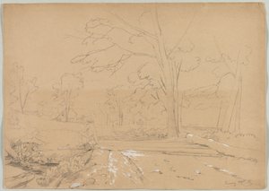 Paysage avec un homme en train de pêcher, Conway, New Hampshire - David Johnson