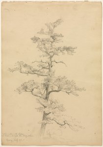 Pin, Conway, New Hampshire recto, vers 1851