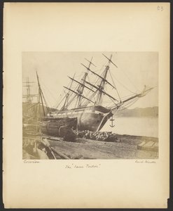 La "Jane Tudor"