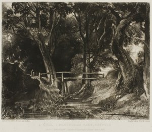 Un vallon, parc de Helmingham, Suffolk - David Lucas
