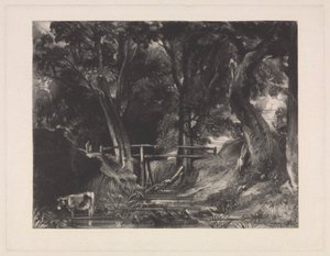 Un vallon, Helmingham Park, Suffolk - David Lucas